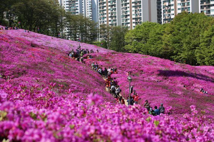 Summary of South Korea April Celebrations